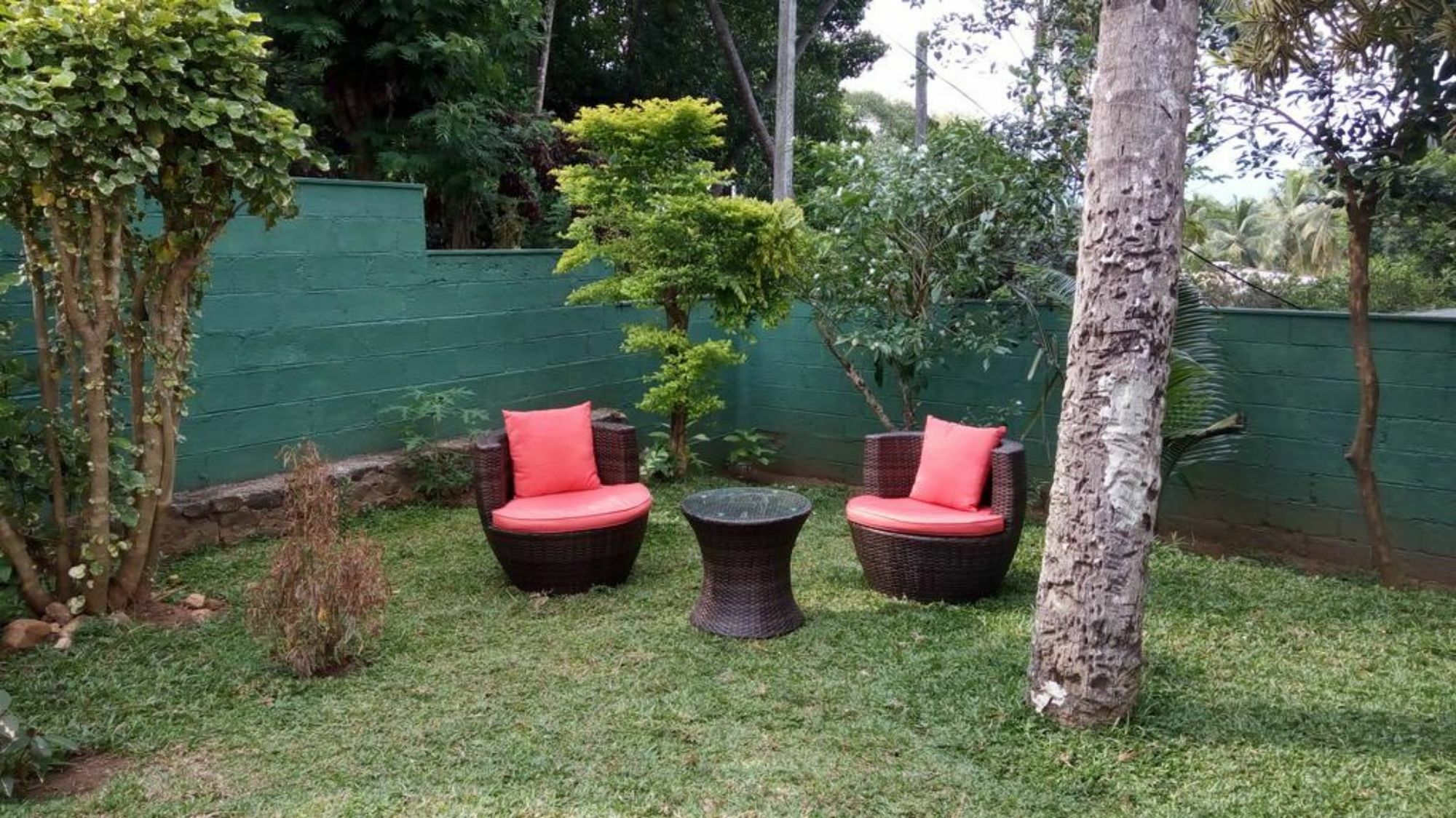 Bed and Breakfast La Sachara Kandy Zewnętrze zdjęcie